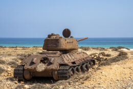 Socotra_2025 (73/76)